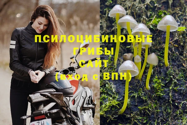 кокаин колумбия Алексин