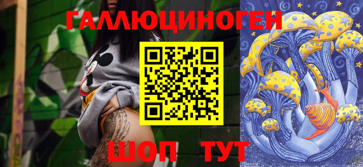 Псилоцибиновые грибы Cubensis Лесной