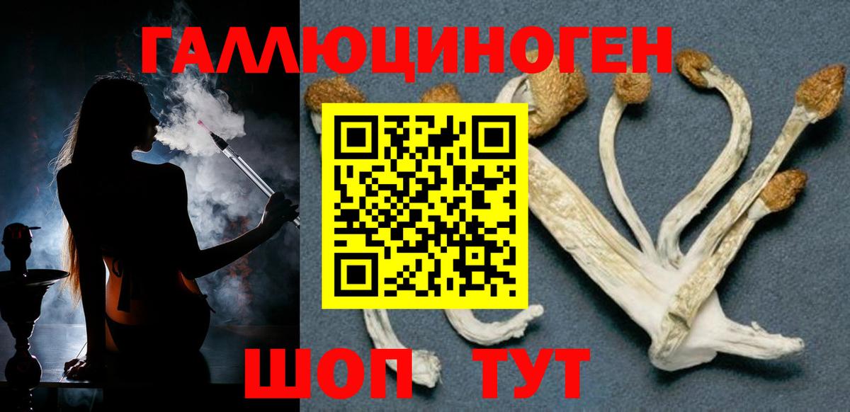 Лесной  Галлюциногенные грибы MAGIC MUSHROOMS  Вход с VPN  Галлюциногенные грибы Psilocybine cubensis 
