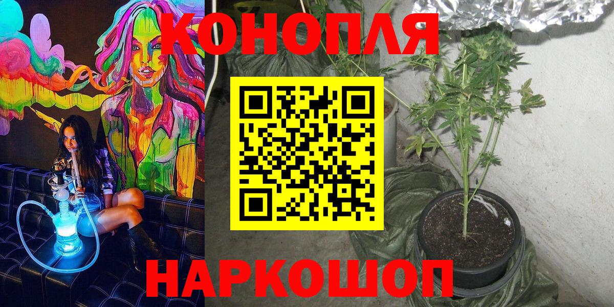 Бошки Шишки тримм Лесной